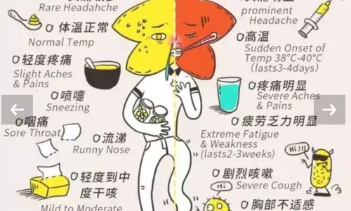 宫颈炎症吃中药管用吗-宫颈炎吃中药能好吗网 | 宫颈炎吃中药能好吗会复发吗,宫颈炎吃哪种药效果好